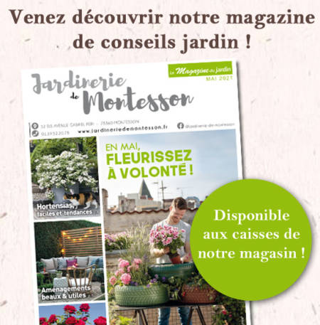 magazine-montesson-mai-21 magazine-montesson-mai-21