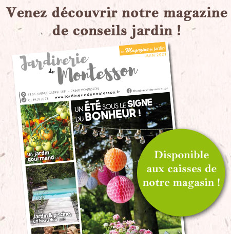 magazine-montesson-juin-21 magazine-montesson-juin-21