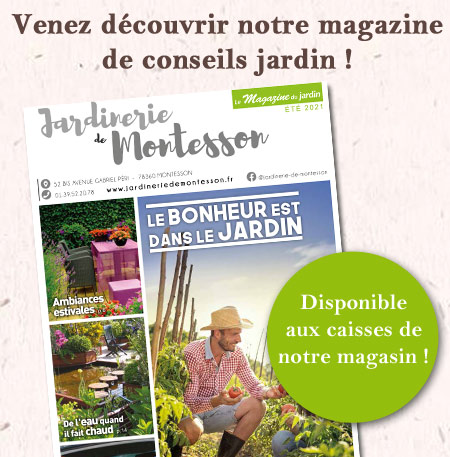 magazine-montesson-ete-21 magazine-montesson-ete-21