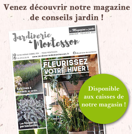 magazine-montesson-janv-22