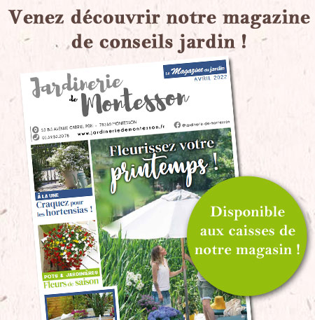 magazine-montesson-avril-22