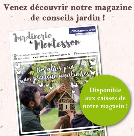 magazine-montesson-nov-22