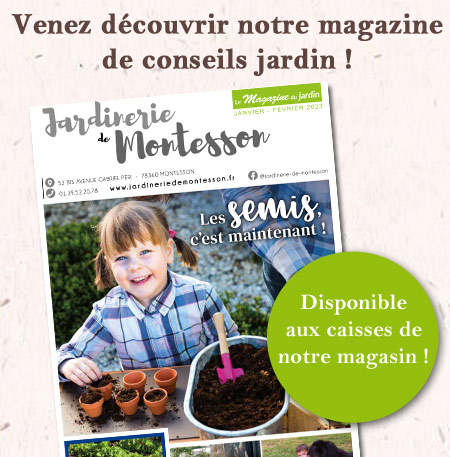 magazine-montesson-janv-23