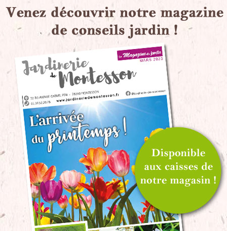 magazine-montesson-mars23