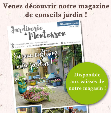 magazine-montesson-juin-23