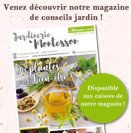 magazine-montesson-sept-23